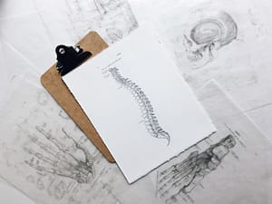 Beratung in der Osteopathie als Skizzenhafte Darstellung
