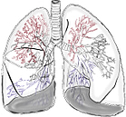 Atemtherapie und dafür eine skizzierte Lunge eines Menschen